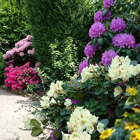 Hotel Villa Verde 3* Düsseldorf