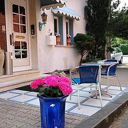 فندق Hotel Villa Verde 3*