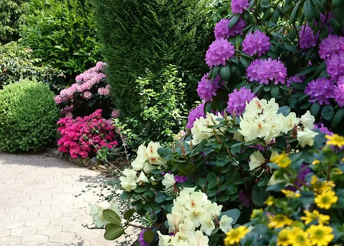 Hotel Villa Verde 3* Düsseldorf