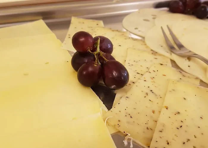 Hotel Villa Verde 3* 뒤셀도르프